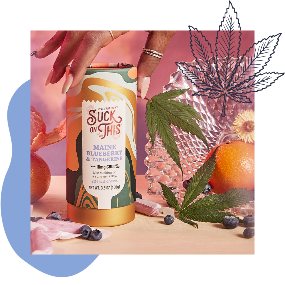Maine Blueberry &amp; Tangerine CBD Fruit Chews